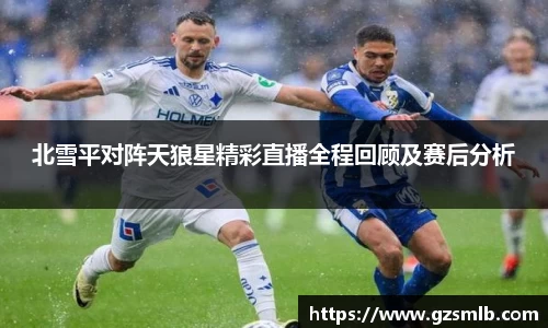 北雪平对阵天狼星精彩直播全程回顾及赛后分析